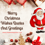 merry Christmas wishes